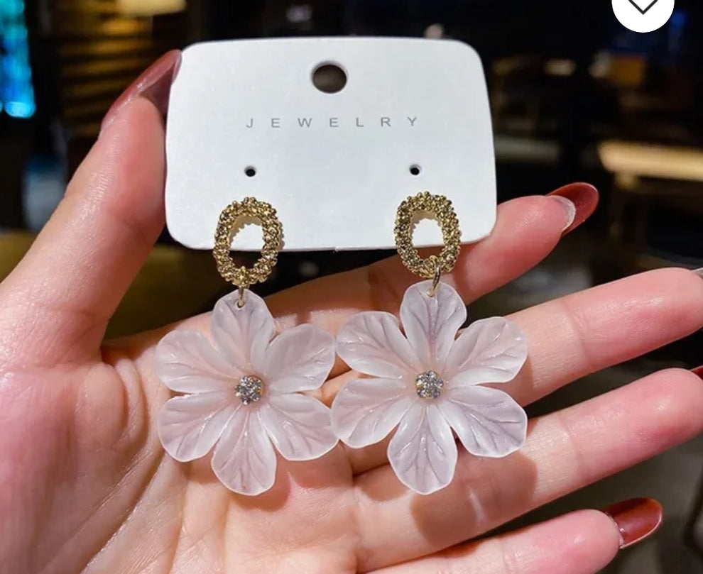 Transparent Earrings