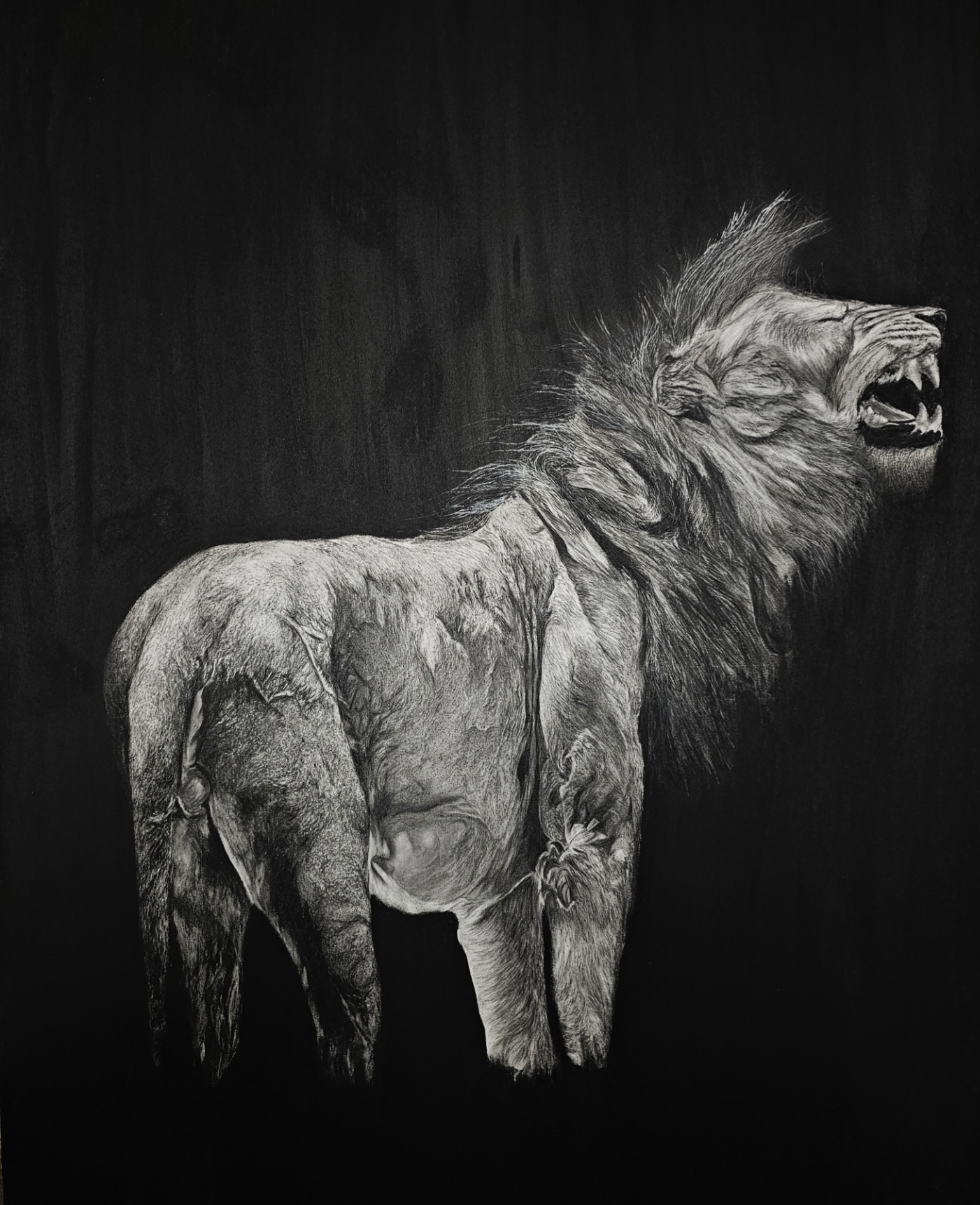 Lion Portrait
